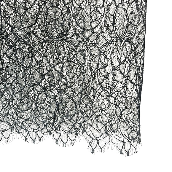 Chanel 17/SS Runway Black Lace Striped Midi Skirt - Picture 7 of 11